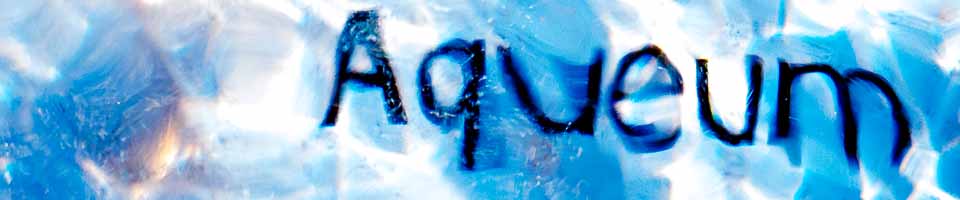 Header image alt text