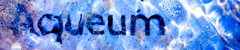 Header image alt text