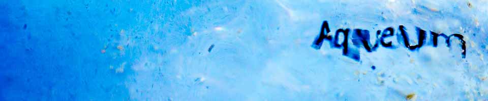 Header image alt text