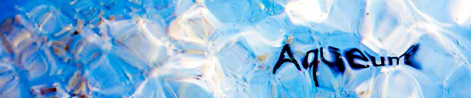 Header image alt text