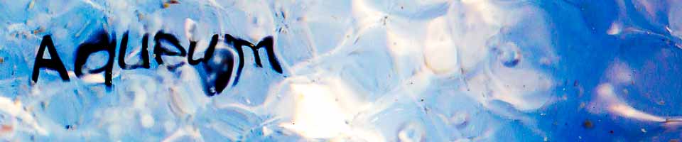 Header image alt text