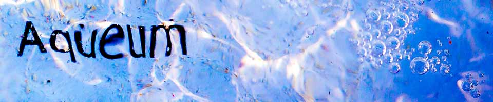 Header image alt text