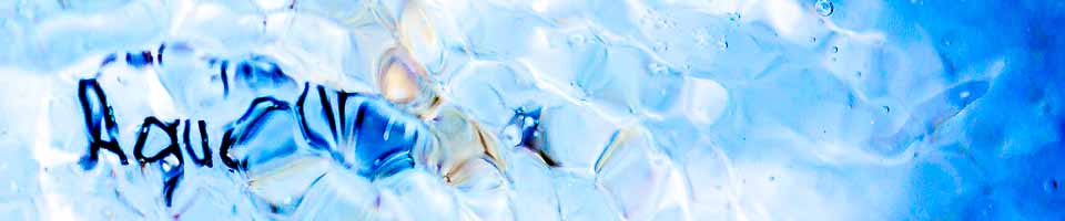 Header image alt text