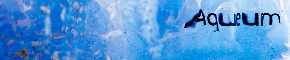 Header image alt text