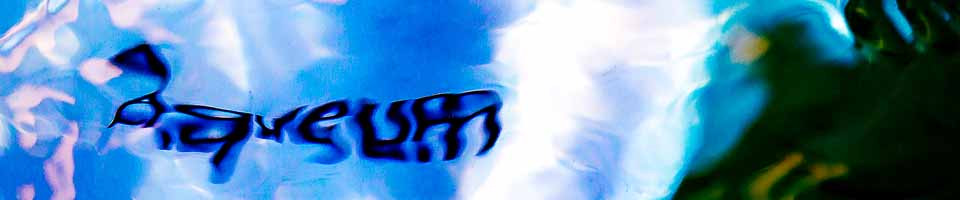 Header image alt text