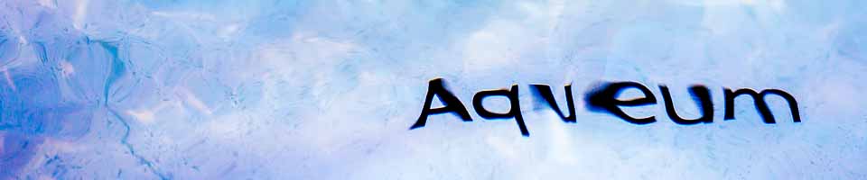 Header image alt text
