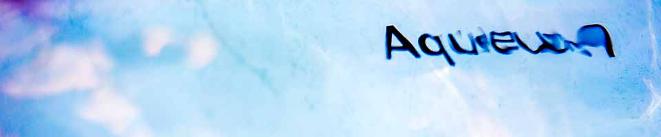 Header image alt text